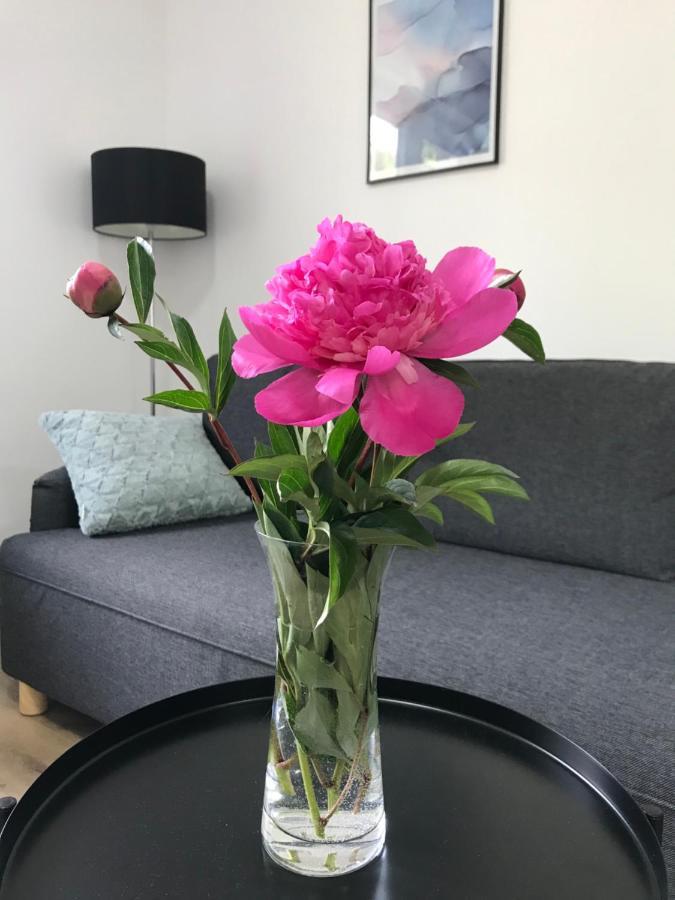 Apartman Na Kopci Krucemburk Extérieur photo